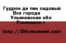 Гудрон де пин садовый - Все города  »    . Ульяновская обл.,Ульяновск г.